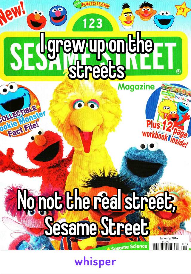 I grew up on the streets




No not the real street, Sesame Street