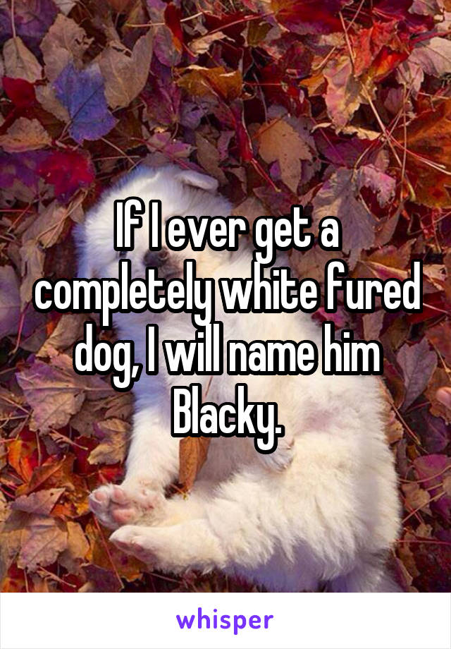 If I ever get a completely white fured dog, I will name him Blacky.