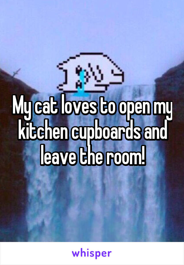 My cat loves to open my kitchen cupboards and leave the room!
