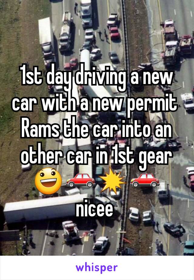 1st day driving a new car with a new permit 
Rams the car into an other car in 1st gear 😃🚗💥🚗
nicee 