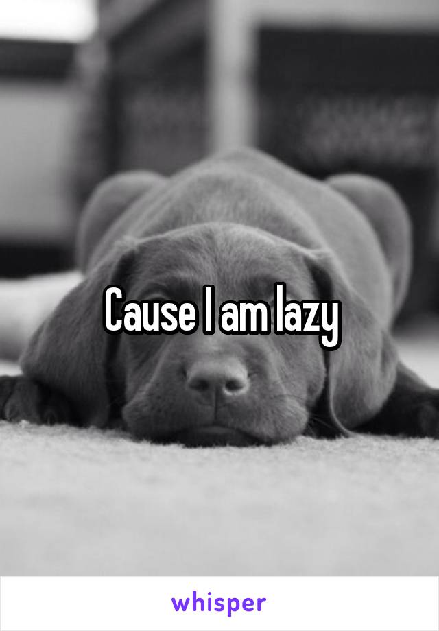 Cause I am lazy