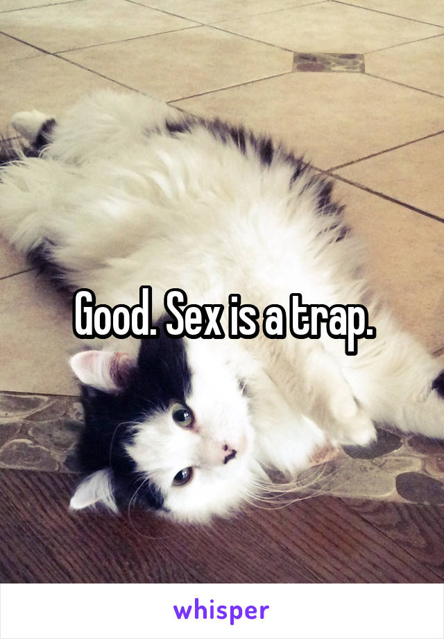 Good. Sex is a trap.
