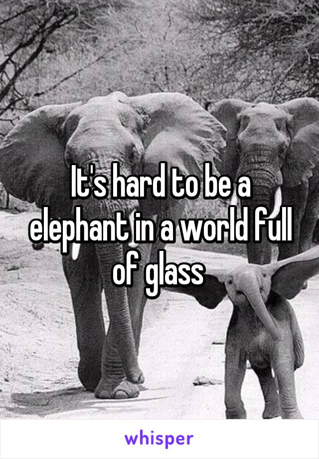 It's hard to be a elephant in a world full of glass 