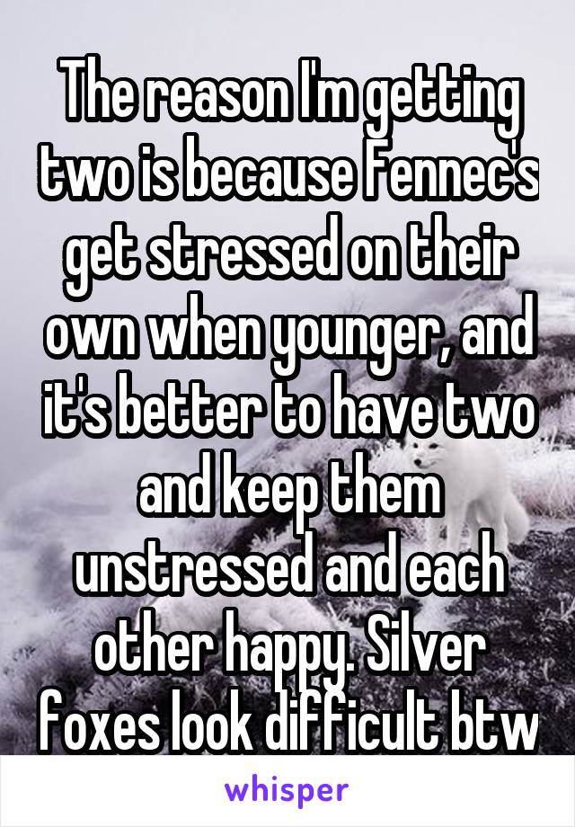 The reason I'm getting two is because Fennec's get stressed on their own when younger, and it's better to have two and keep them unstressed and each other happy. Silver foxes look difficult btw