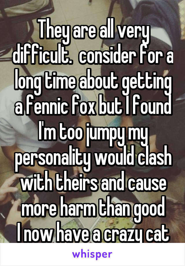 They are all very difficult.  consider for a long time about getting a fennic fox but I found I'm too jumpy my personality would clash with theirs and cause more harm than good
I now have a crazy cat