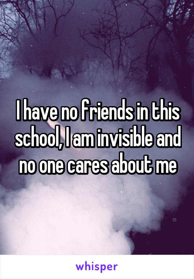 I have no friends in this school, I am invisible and no one cares about me