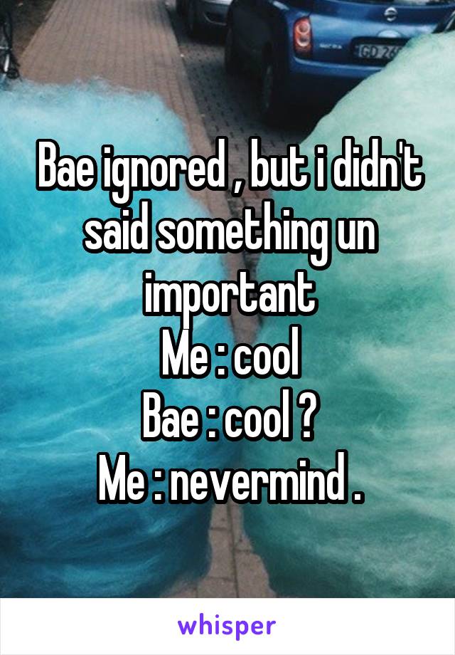 Bae ignored , but i didn't said something un important
Me : cool
Bae : cool ?
Me : nevermind .