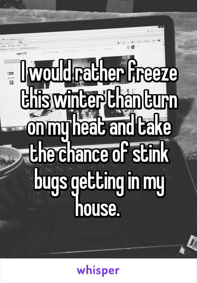 I would rather freeze this winter than turn on my heat and take the chance of stink bugs getting in my house. 