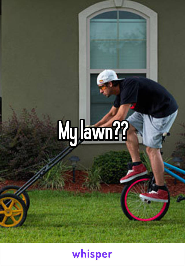 My lawn??