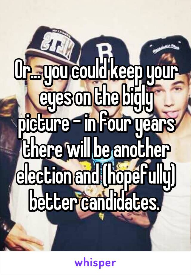 Or... you could keep your eyes on the bigly picture - in four years there will be another election and (hopefully) better candidates. 
