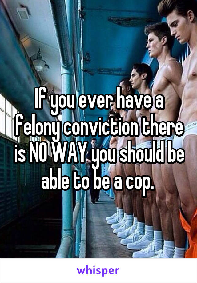 If you ever have a felony conviction there is NO WAY you should be able to be a cop. 