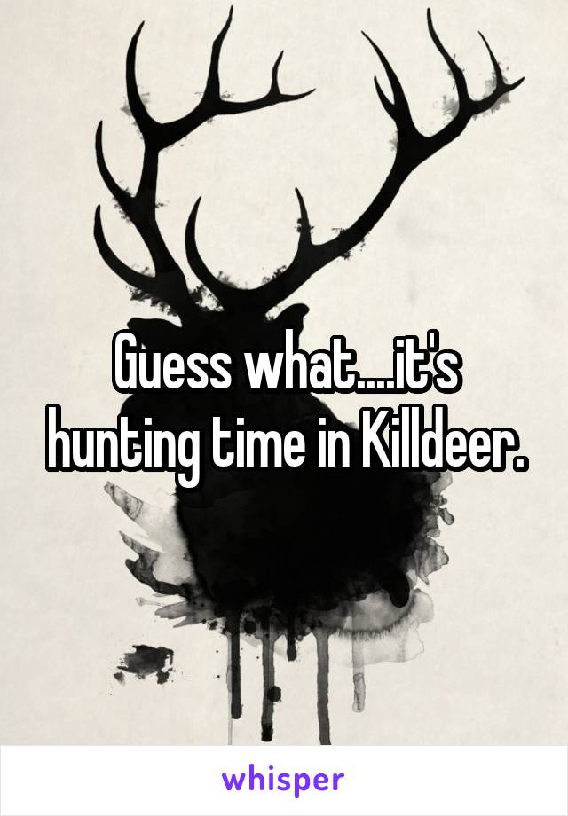 Guess what....it's hunting time in Killdeer.