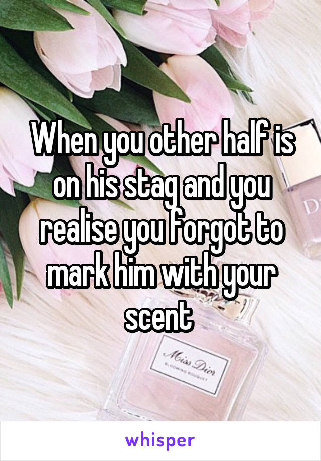 When you other half is on his stag and you realise you forgot to mark him with your scent 
