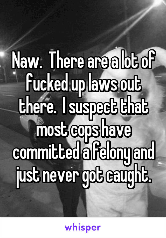 Naw.  There are a lot of fucked up laws out there.  I suspect that most cops have committed a felony and just never got caught.
