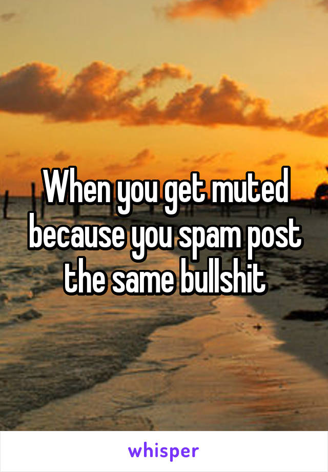 When you get muted because you spam post the same bullshit