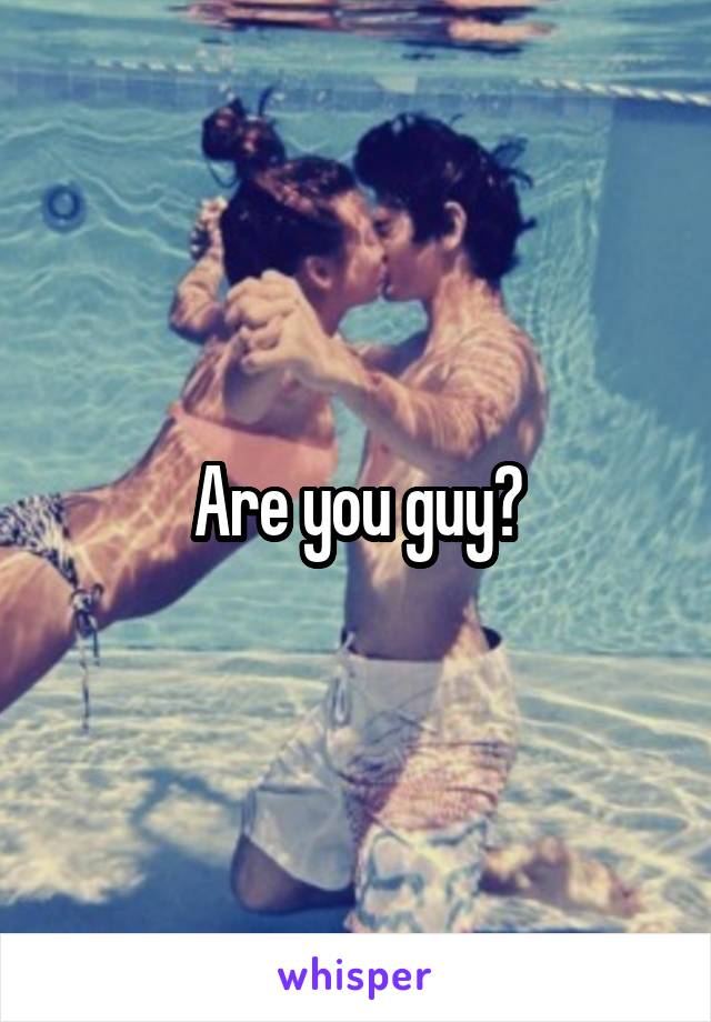 Are you guy?