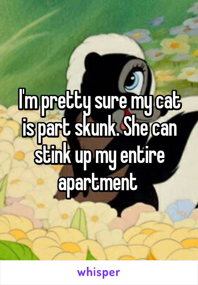 I'm pretty sure my cat is part skunk. She can stink up my entire apartment 