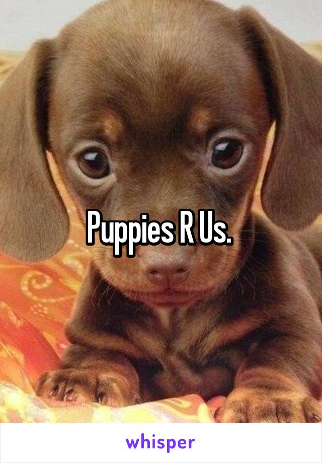 Puppies R Us. 