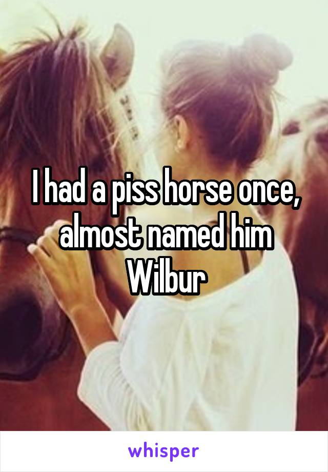 I had a piss horse once, almost named him Wilbur