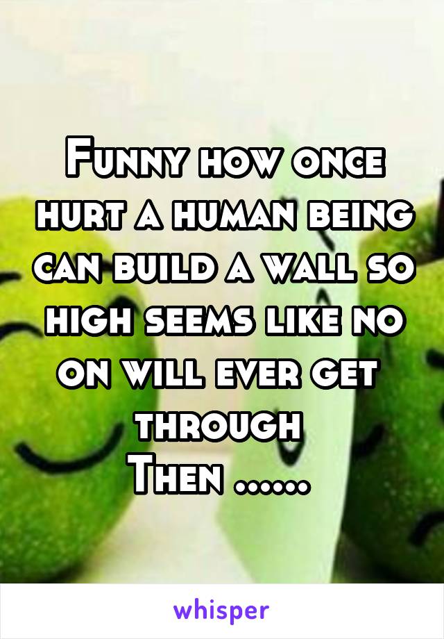 Funny how once hurt a human being can build a wall so high seems like no on will ever get  through 
Then ...... 