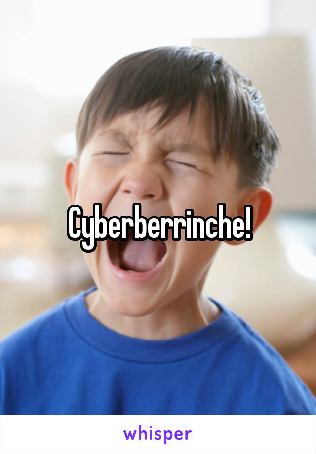 Cyberberrinche!