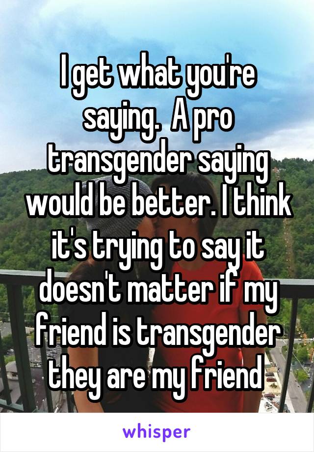 I get what you're saying.  A pro transgender saying would be better. I think it's trying to say it doesn't matter if my friend is transgender they are my friend 