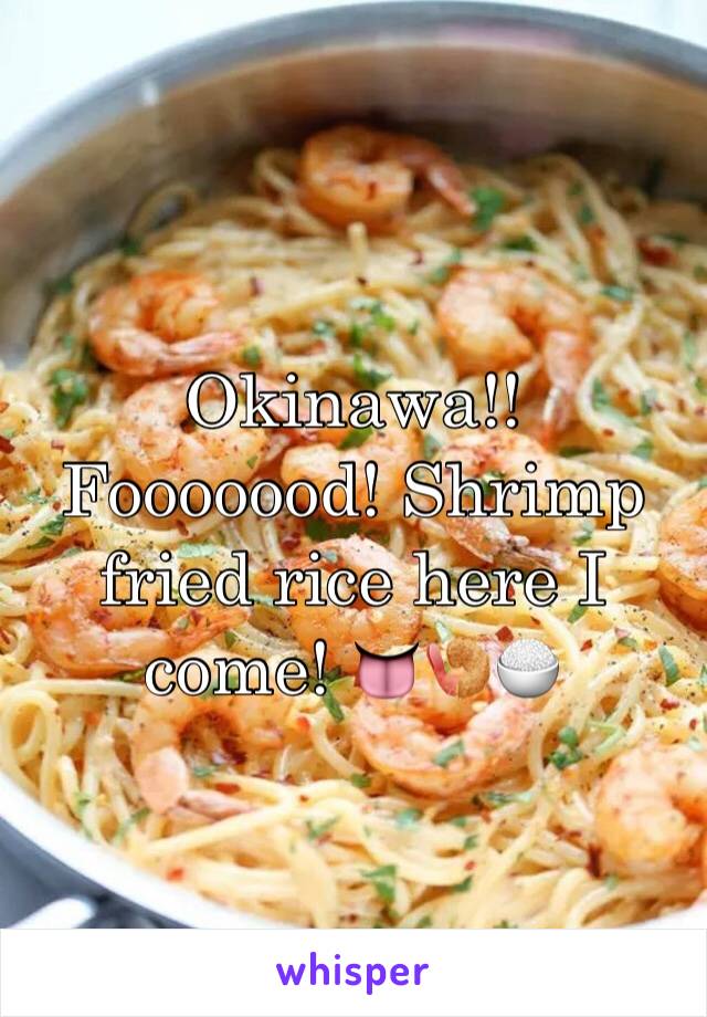 Okinawa!! Fooooood! Shrimp fried rice here I come! 👅🍤🍚