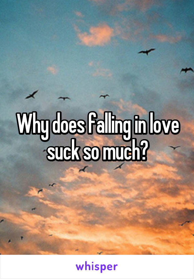 Why does falling in love suck so much?