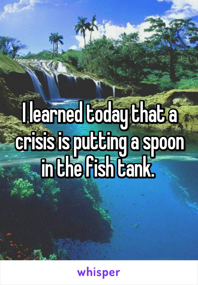 I learned today that a crisis is putting a spoon in the fish tank. 