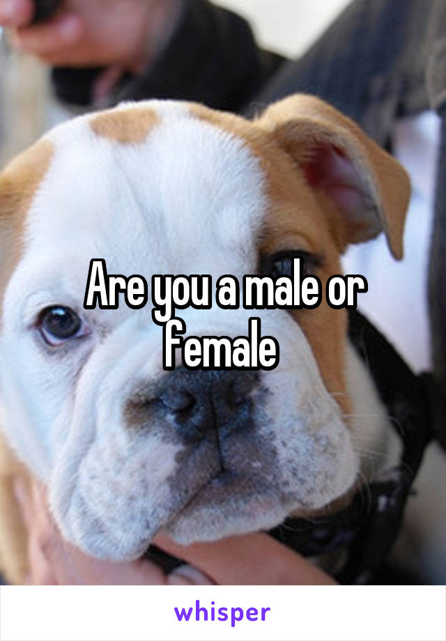 Are you a male or female 
