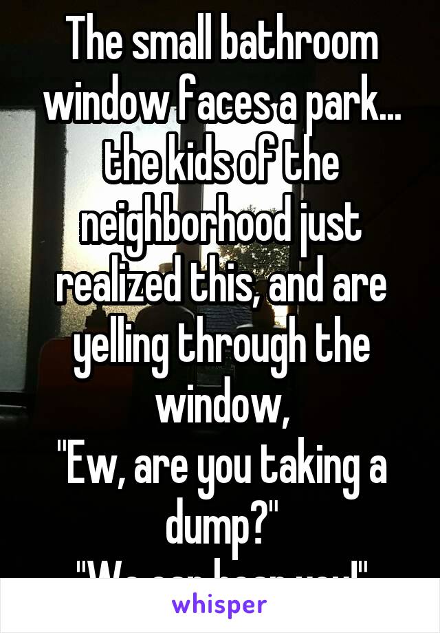 The small bathroom window faces a park... the kids of the neighborhood just realized this, and are yelling through the window,
"Ew, are you taking a dump?"
"We can hear you!"