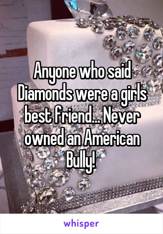 Anyone who said Diamonds were a girls best friend... Never owned an American Bully! 