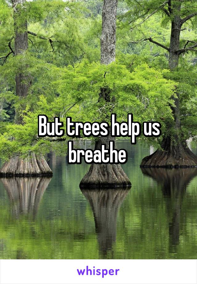 But trees help us breathe 