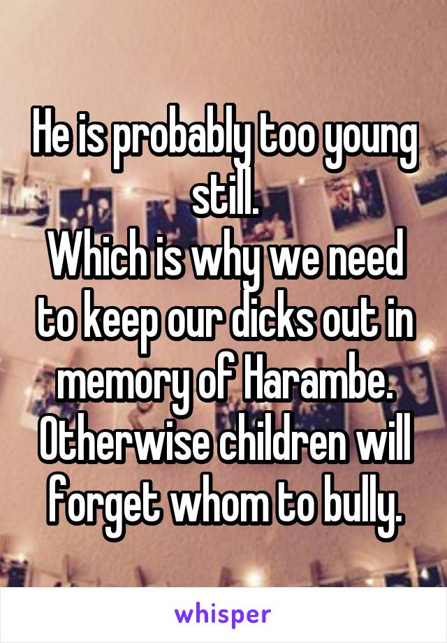 He is probably too young still.
Which is why we need to keep our dicks out in memory of Harambe. Otherwise children will forget whom to bully.