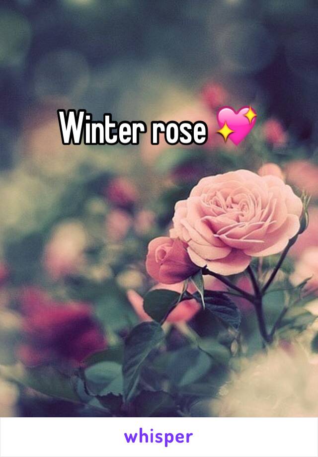 Winter rose 💖