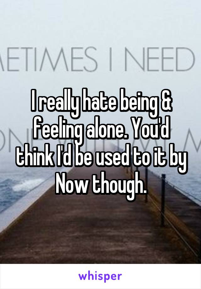 I really hate being & feeling alone. You'd think I'd be used to it by Now though.