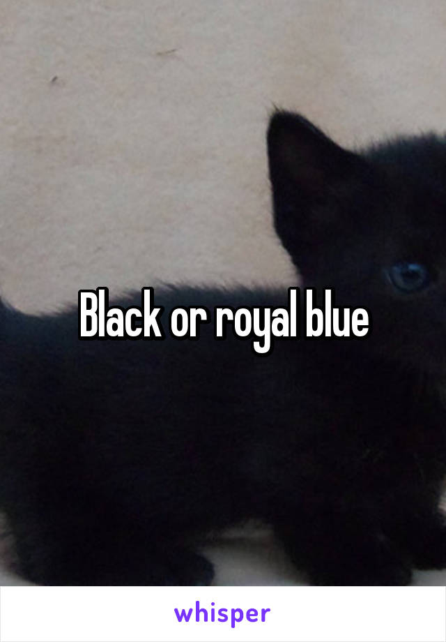 Black or royal blue
