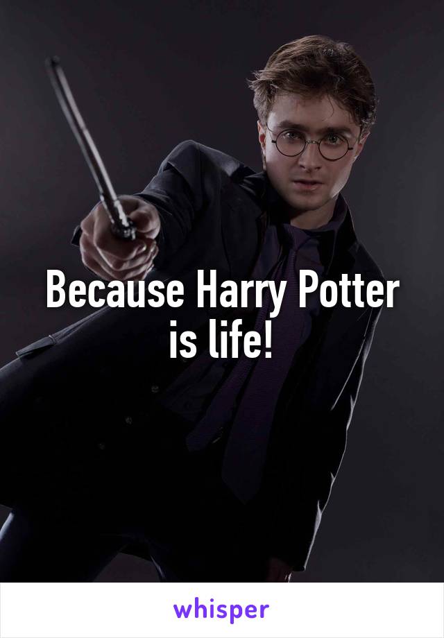 Because Harry Potter is life!