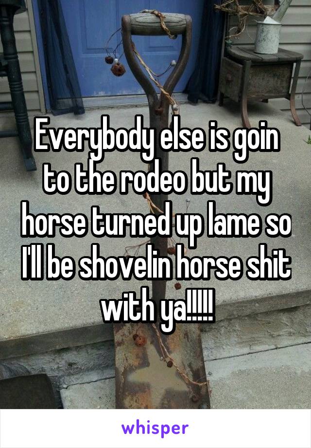 Everybody else is goin to the rodeo but my horse turned up lame so I'll be shovelin horse shit with ya!!!!!