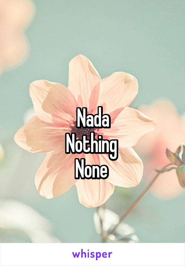 
Nada
Nothing 
None 