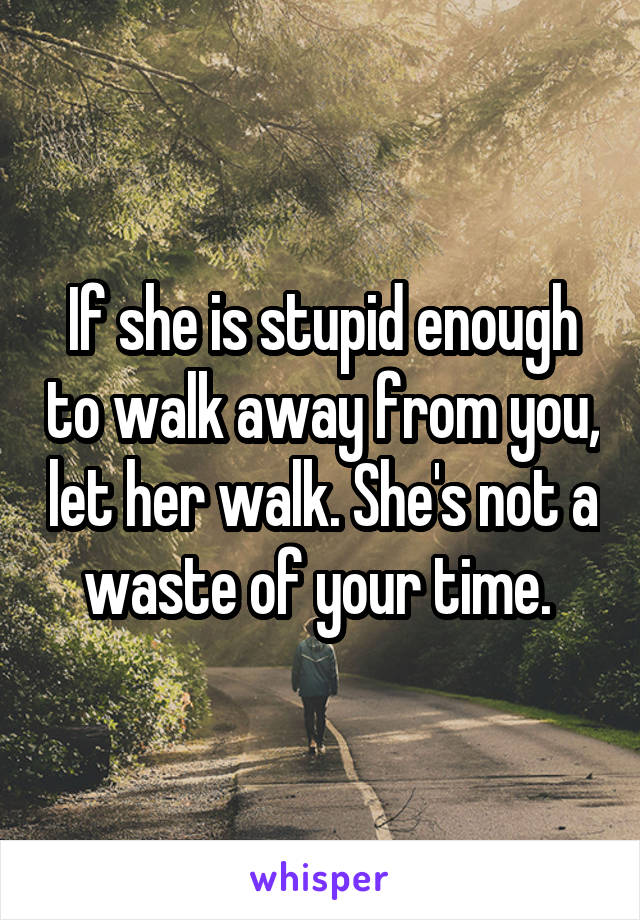 If she is stupid enough to walk away from you, let her walk. She's not a waste of your time. 