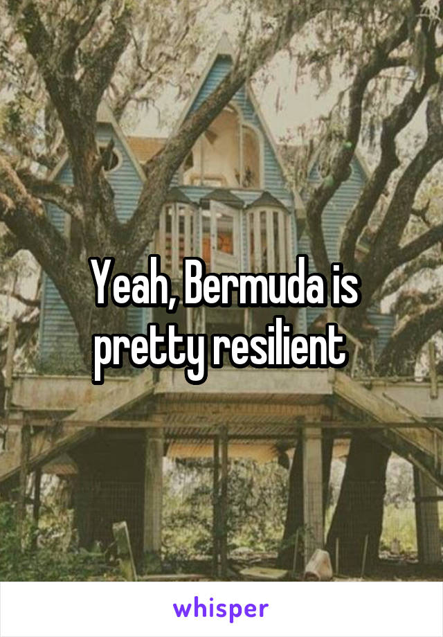 Yeah, Bermuda is pretty resilient 