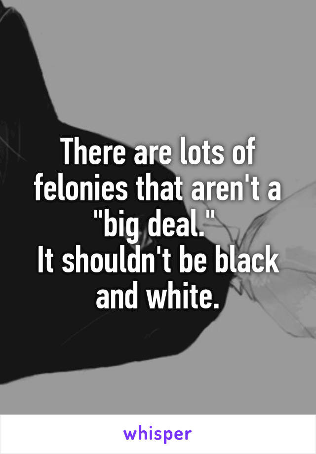 There are lots of felonies that aren't a "big deal." 
It shouldn't be black and white.