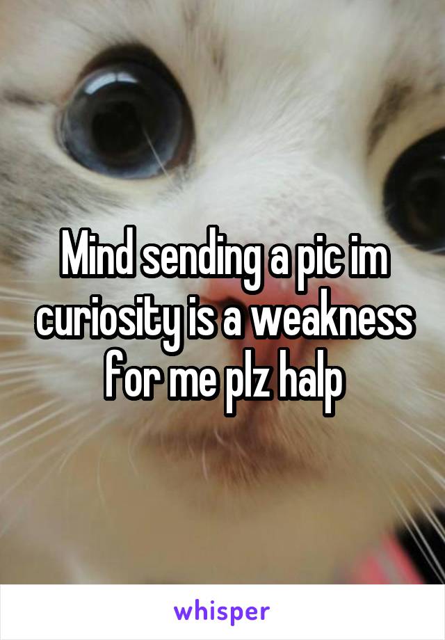 Mind sending a pic im curiosity is a weakness for me plz halp