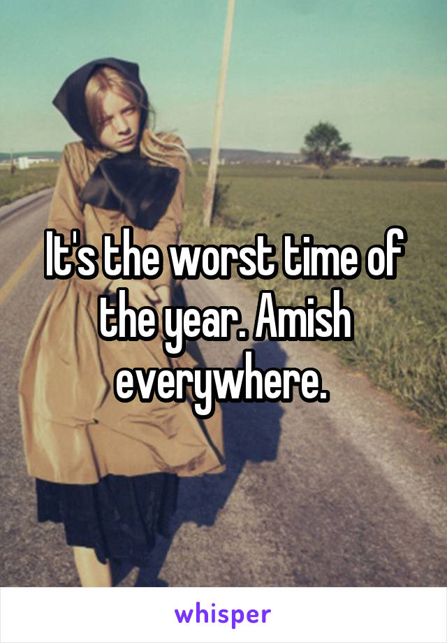 It's the worst time of the year. Amish everywhere. 