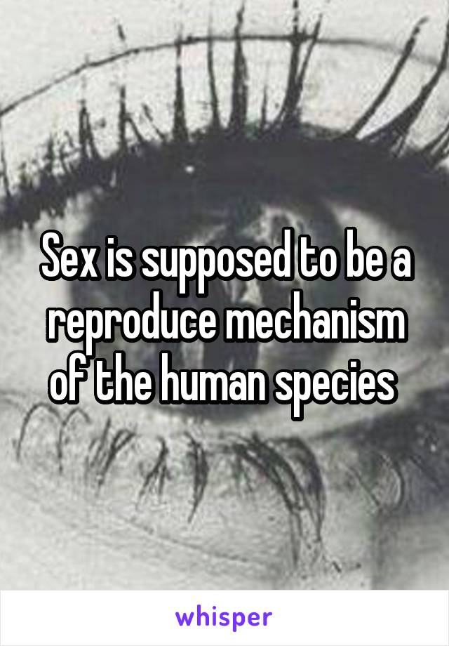 Sex is supposed to be a reproduce mechanism of the human species 