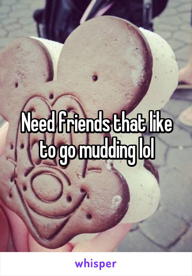Need friends that like to go mudding lol