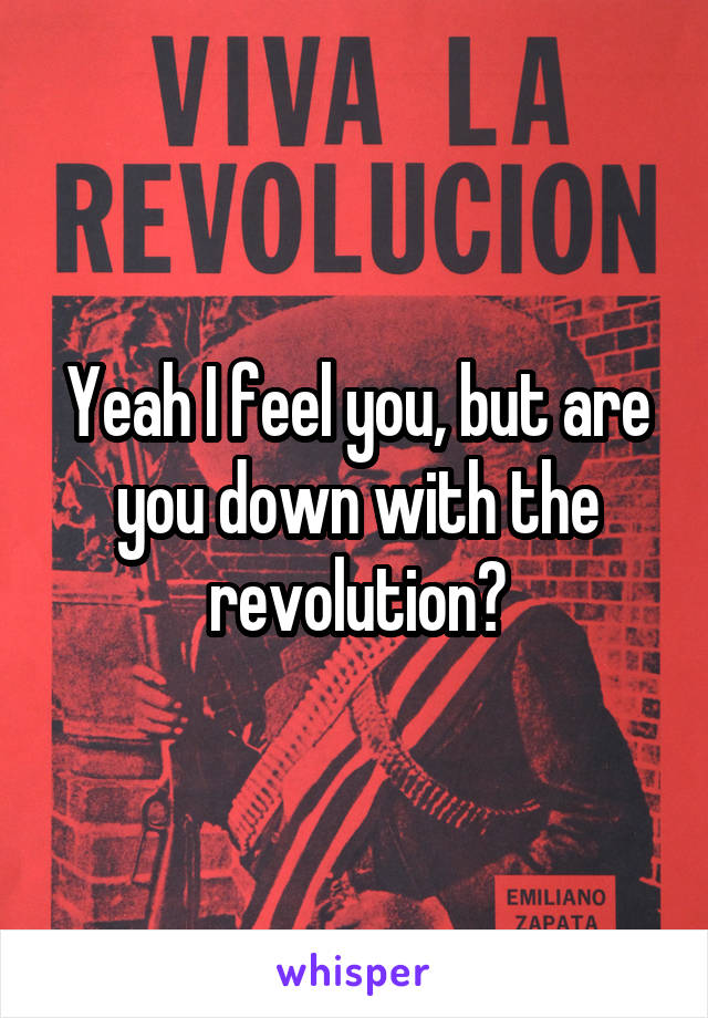 Yeah I feel you, but are you down with the revolution?