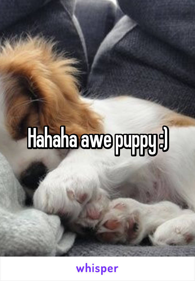 Hahaha awe puppy :)