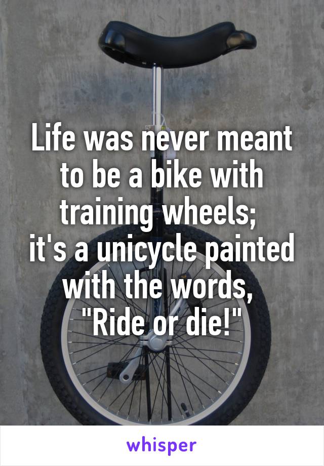 Life was never meant to be a bike with training wheels; 
it's a unicycle painted with the words, 
"Ride or die!"